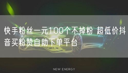 快手粉丝一元100个不掉粉 超低价抖音买粉赞自助下单平台