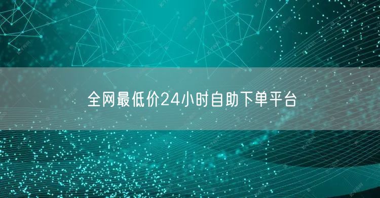 全网最低价24小时自助下单平台