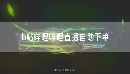 b站哔哩哔哩直播自助下单