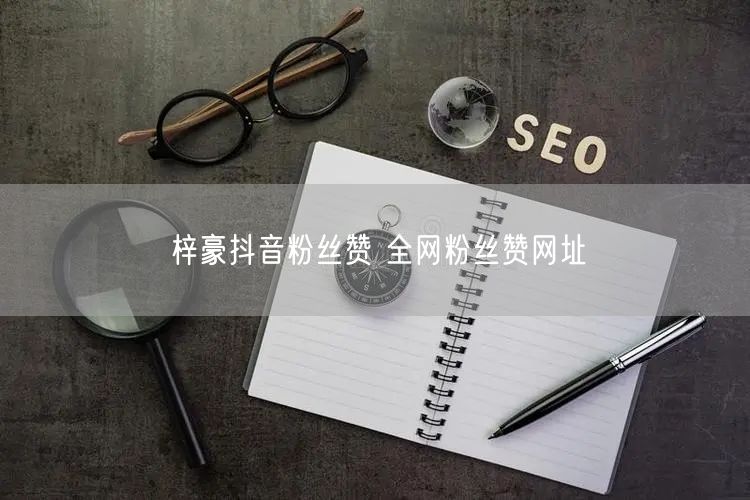 梓豪抖音粉丝赞 全网粉丝赞网址