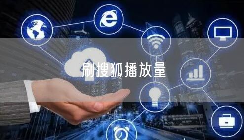 刷搜狐播放量