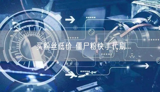 买粉丝低价 僵尸粉快手代刷