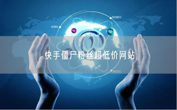 快手僵尸粉丝超低价网站