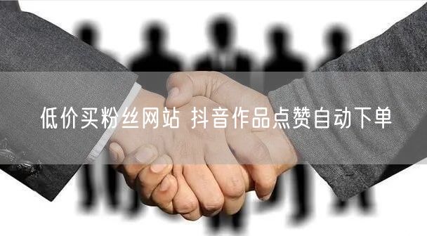 低价买粉丝网站 抖音作品点赞自动下单
