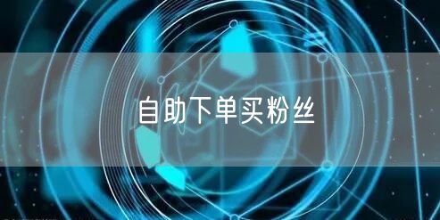 自助下单买粉丝