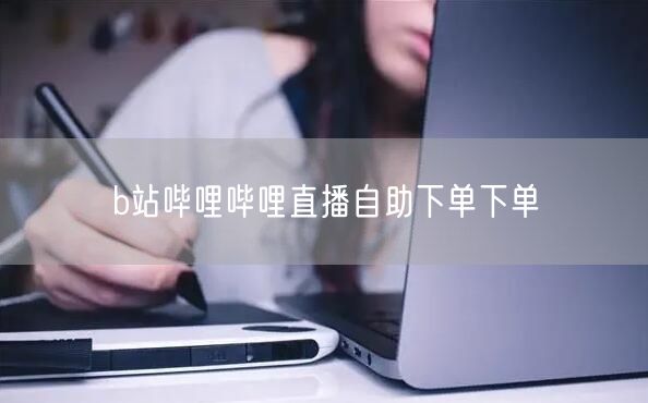 b站哔哩哔哩直播自助下单下单