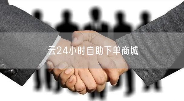 云24小时自助下单商城