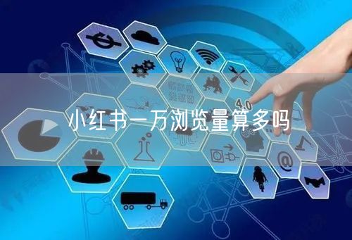 小红书一万浏览量算多吗