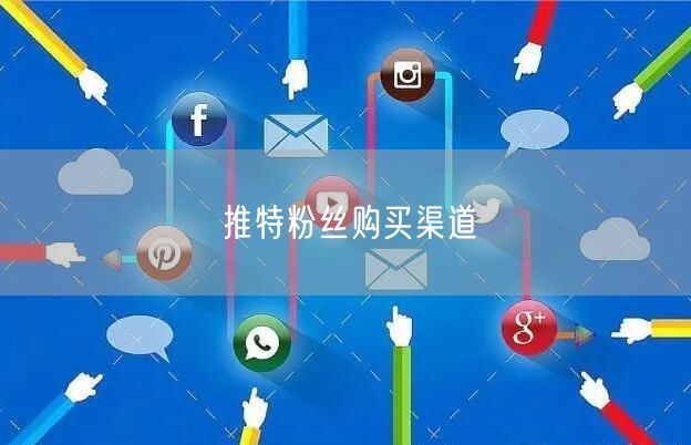 推特粉丝购买渠道
