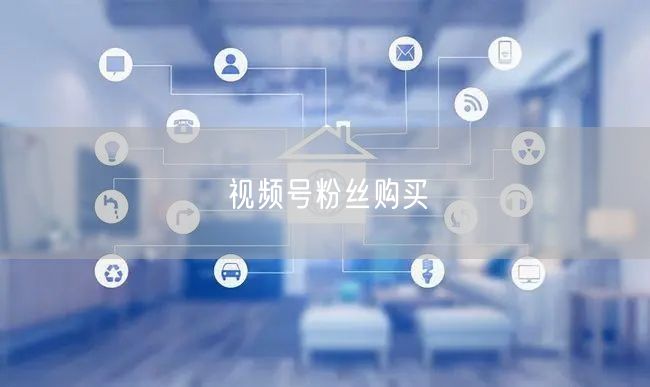 视频号粉丝购买